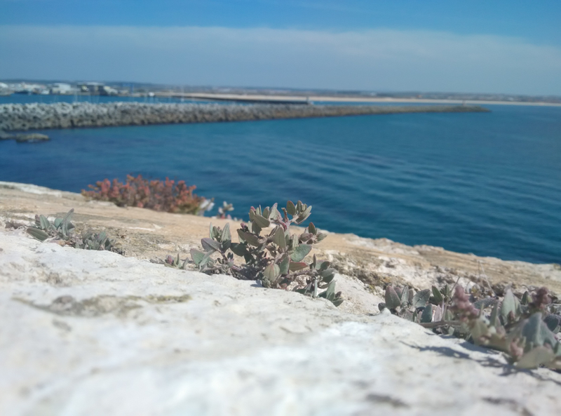 Illustration for article titled The Archer Files - Sunny Saturday in Peniche